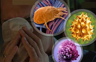 Elias David Dahan - Foto 1