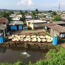 falta de água em Belém e Ananindeua