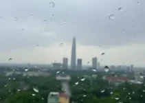 previsão do tempo Belém