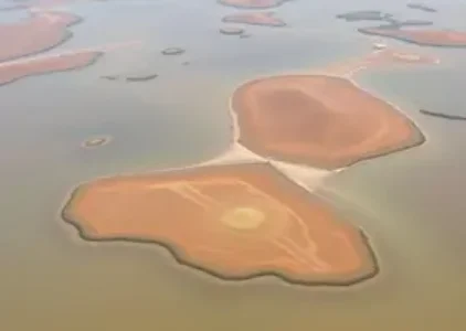 Últimas noticias de Belém