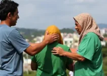 Bolero