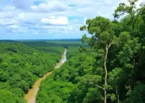 Trilha Amazônia Atlântica