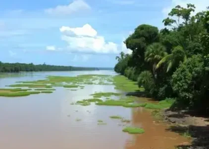 Últimas noticias de Belém