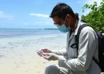 coleta de biomarcadores