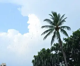 previsão do tempo em Belém